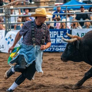 Bull Fighting at the True West Rodeo During Summer