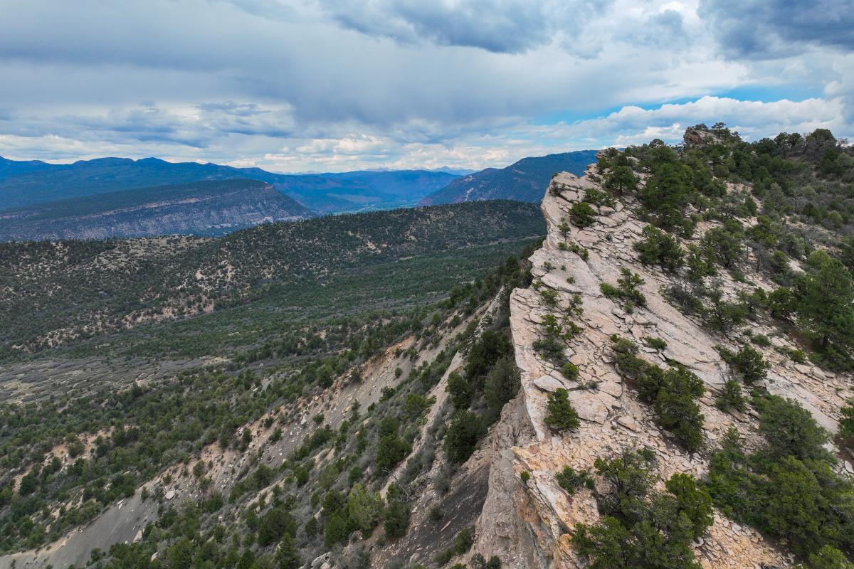 Horse Gulch During the Summer Via Drone