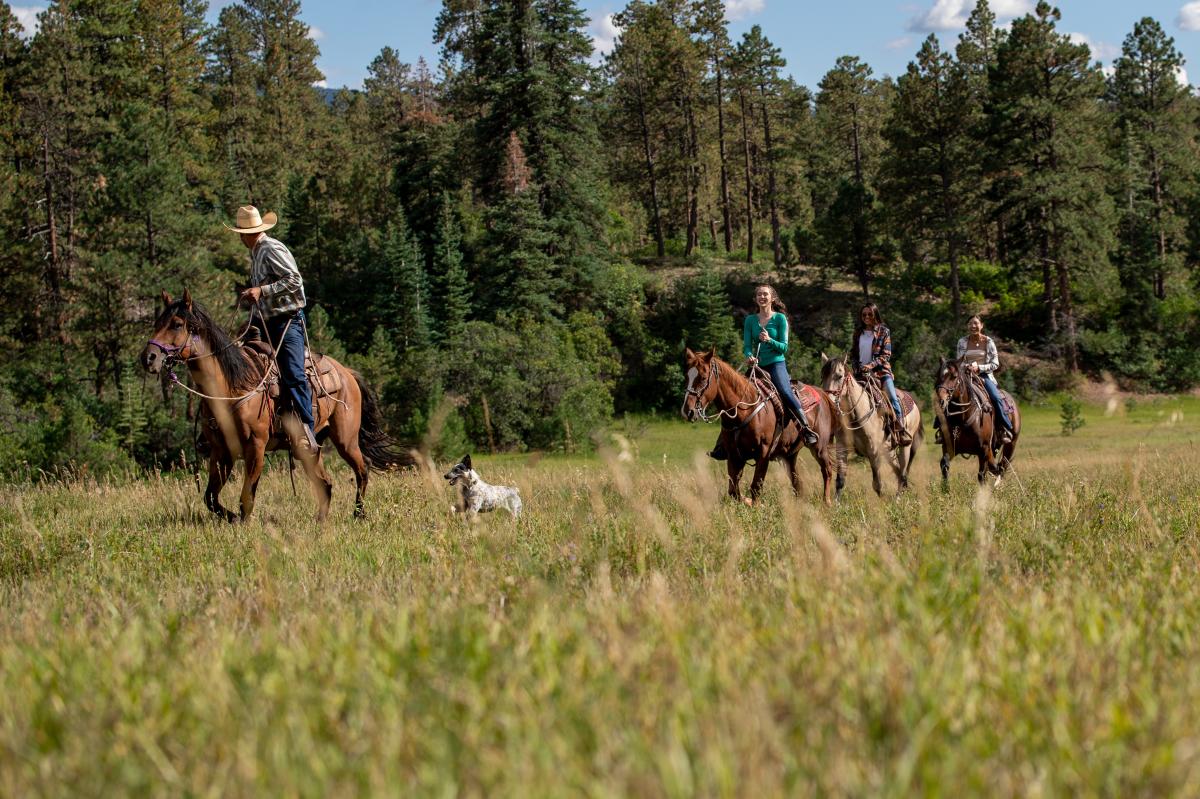 Horseback Riding at Bears Ranch During Summer