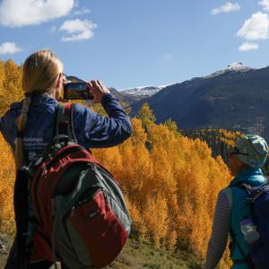 Hiking on Molas Pass During Fall