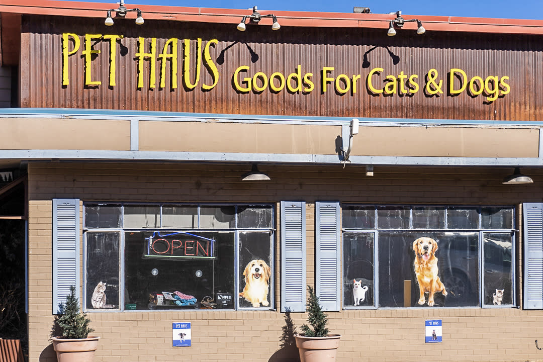 Touring Pet Haus During Fall
