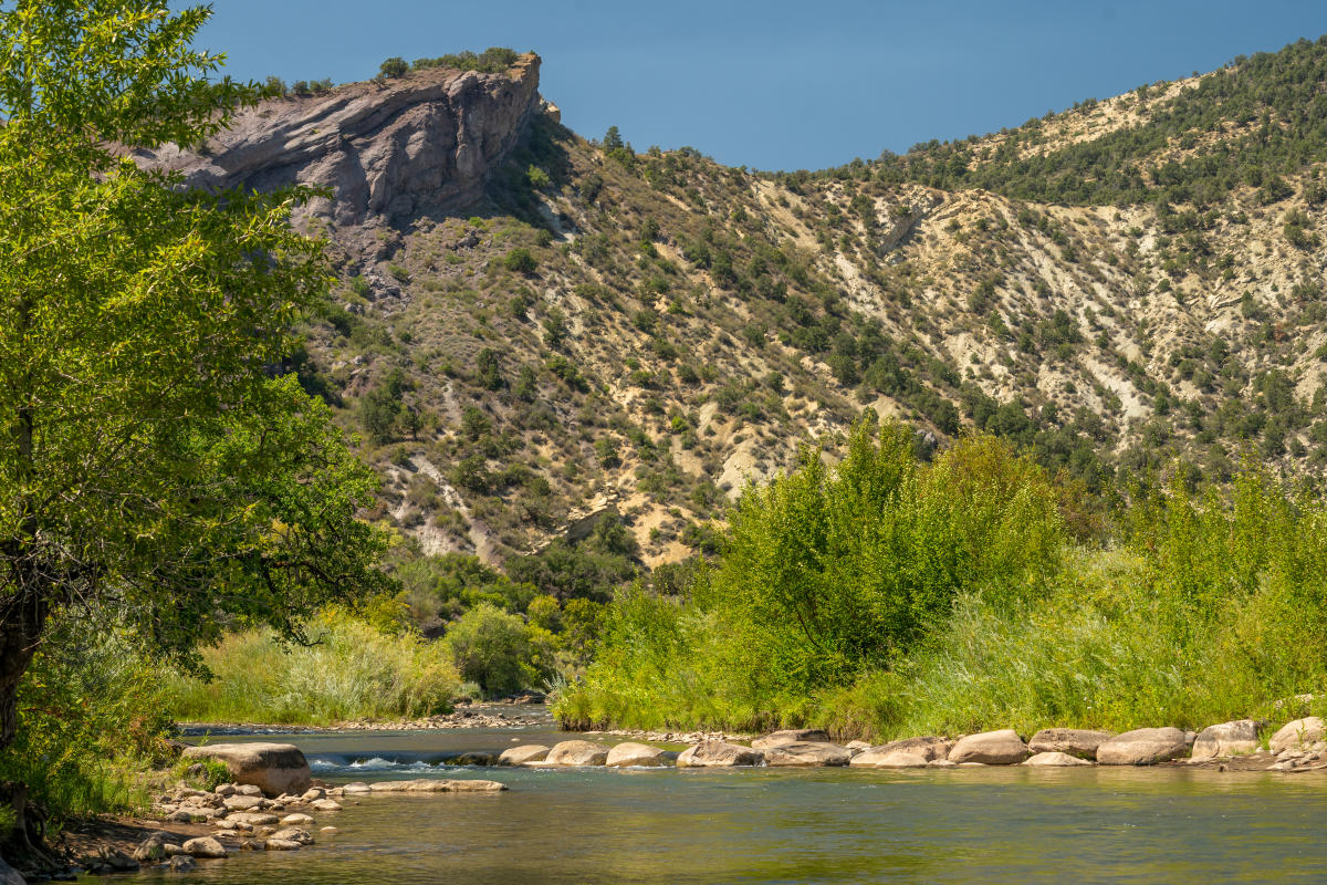 Dallabetta Park During Summer