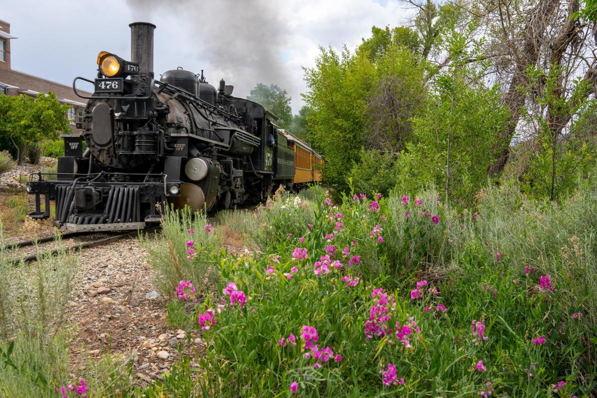Durango Train passing Durango Botanic Gardens
