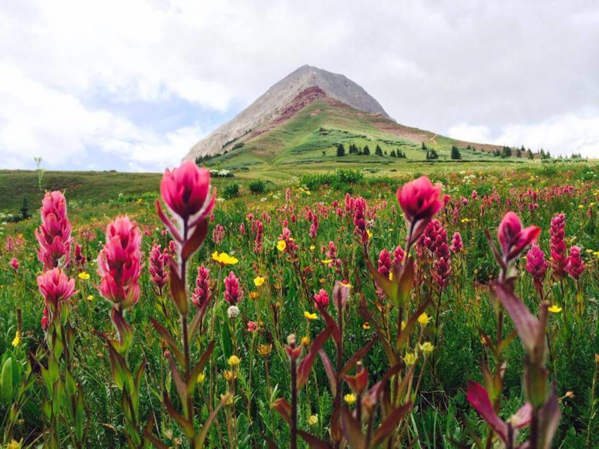 engineer-mountain-durango-wildflower-hikes-colorado