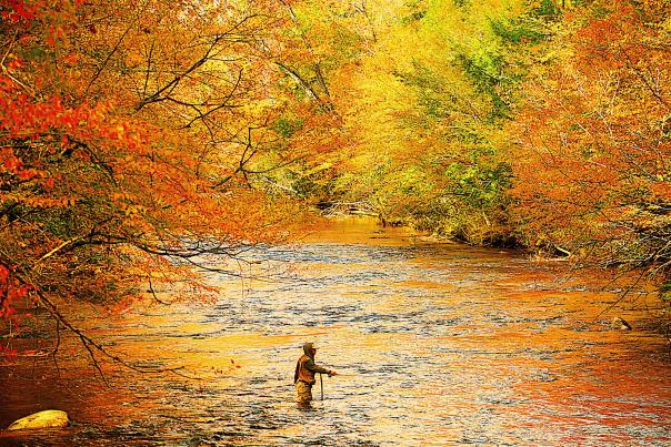 Fall Fishing on the Animas River