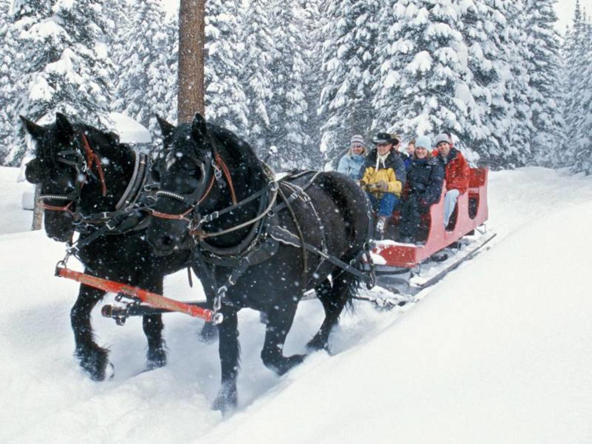 sleigh-ride2