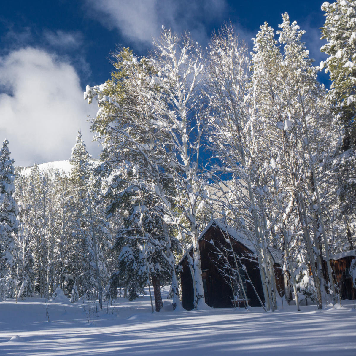 Vallecito Cabin in Winter