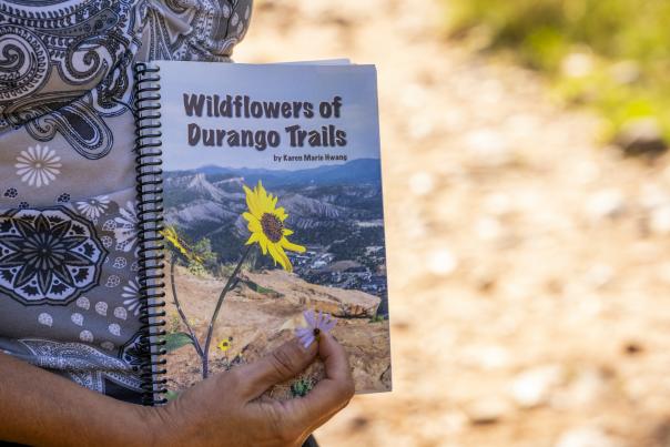 Wildflowers of Durango Trails