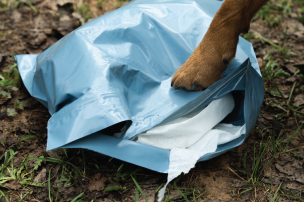 Dogs paw closing Wag Bag